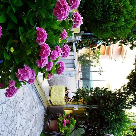New Cirene For Two People Full Package *